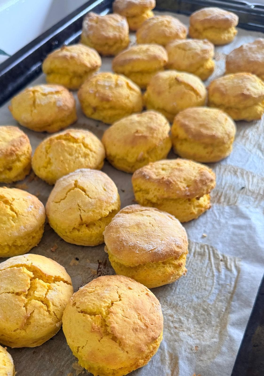 Golden pumpkin scones fresh from the oven
